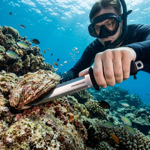 Abalone Tool