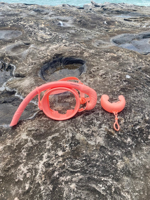 Oceania Mask and Snorkel Set Adult