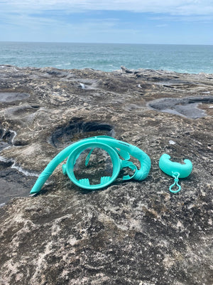 Oceania Mask and Snorkel Set Adult