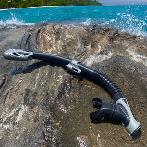 Infinity Dry Top Snorkel